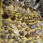 558108486_1313142513942505_1725100700533845963_n